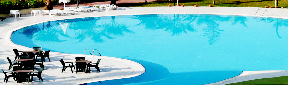 banner-pic3